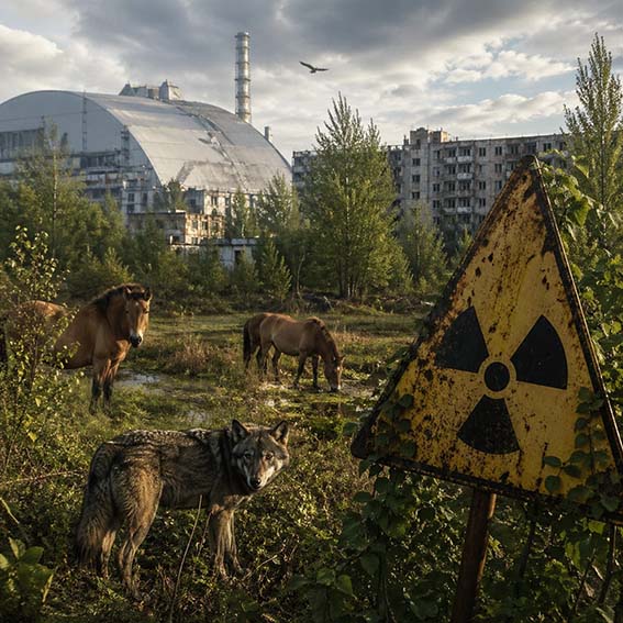 Chernóbil 40 años después: el lugar que desafía lo imposible