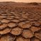 Curiosity encuentra en Marte un paisaje que parece un gigantesco panal: los científicos investigan su origen